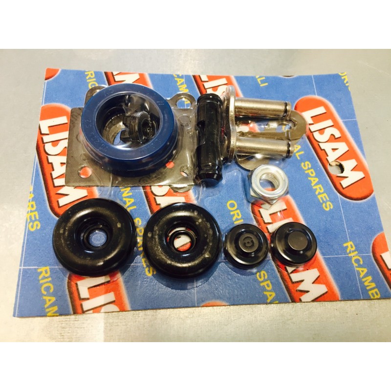 Kit pistoncini + gommini + pastiglia (cassetto) Abbacchiatore Lisam V8 V8EVO V7